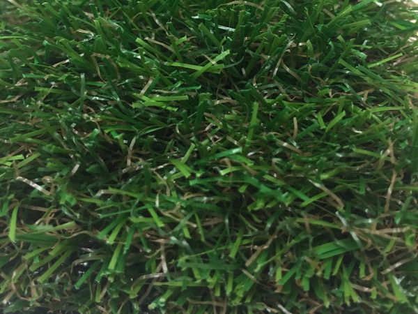 Rye-Grass - Rye-Grass Picture